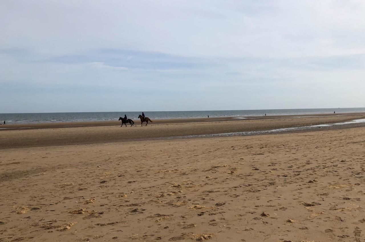 Pebbles 144 South Shore 2 Bed Chalet 2 Dog Friendly, Sleeps 4 Bridlington Exterior photo